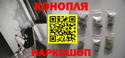 apvp Бийск
