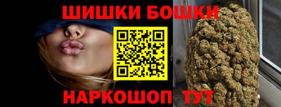 apvp Бийск