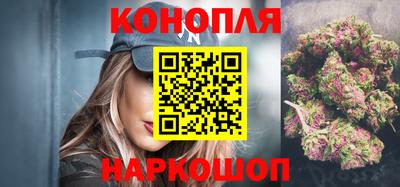 apvp Бийск