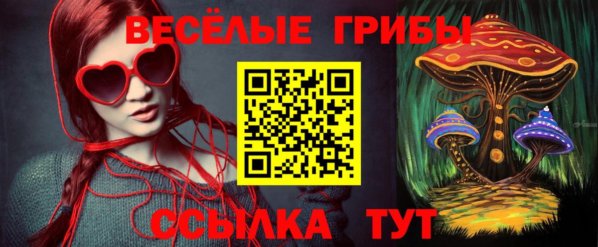 Ивантеевка  Псилоцибиновые грибы GOLDEN TEACHER  Вход с VPN 