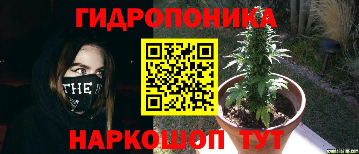 Каннабис VHQ  Бошки Шишки тримм  Бошки марихуана план  Бошки Шишки индика  Ивантеевка  Вход с VPN 